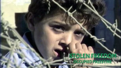 Stolen Freedom: Occupied Palestine