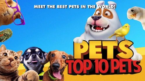 Pets: Top 10 Pets
