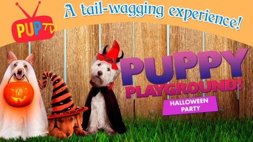 Puppy Playground Halloween Party