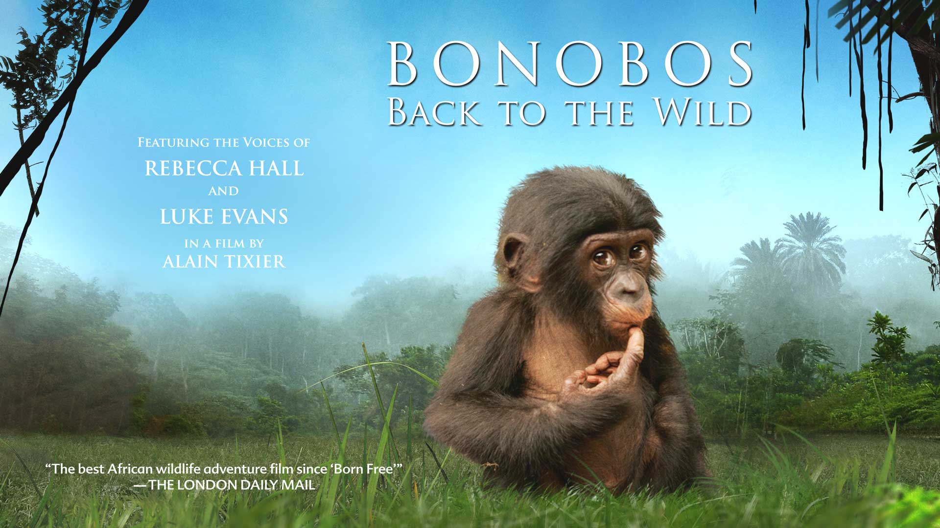 Bonobos Back To The Wild